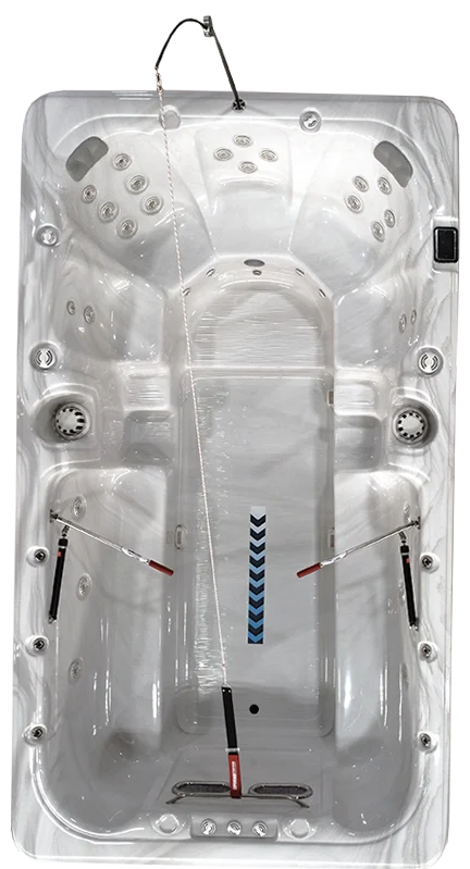 Alamo swim spa